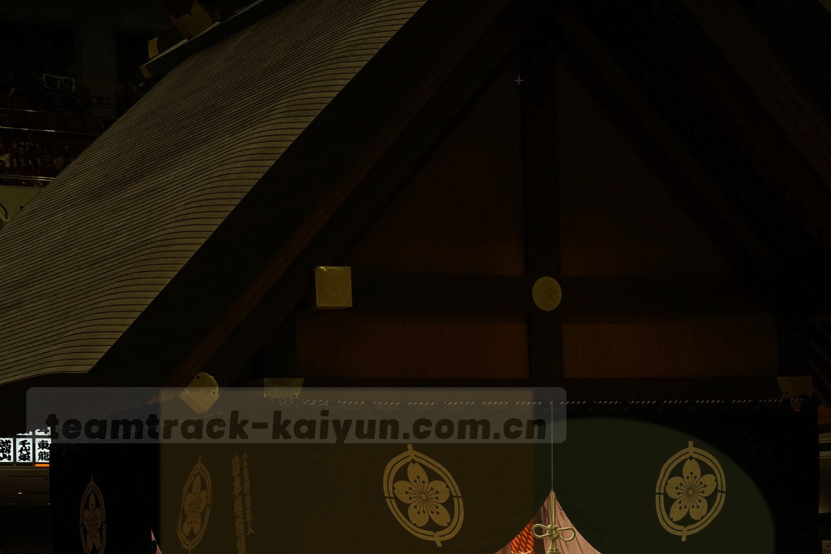 球场草皮与白色边线交错的俯拍局部，光线偏暖，画面中没有人物特写